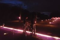 20170916_203855_as
