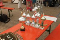 IMG_3260_mn
